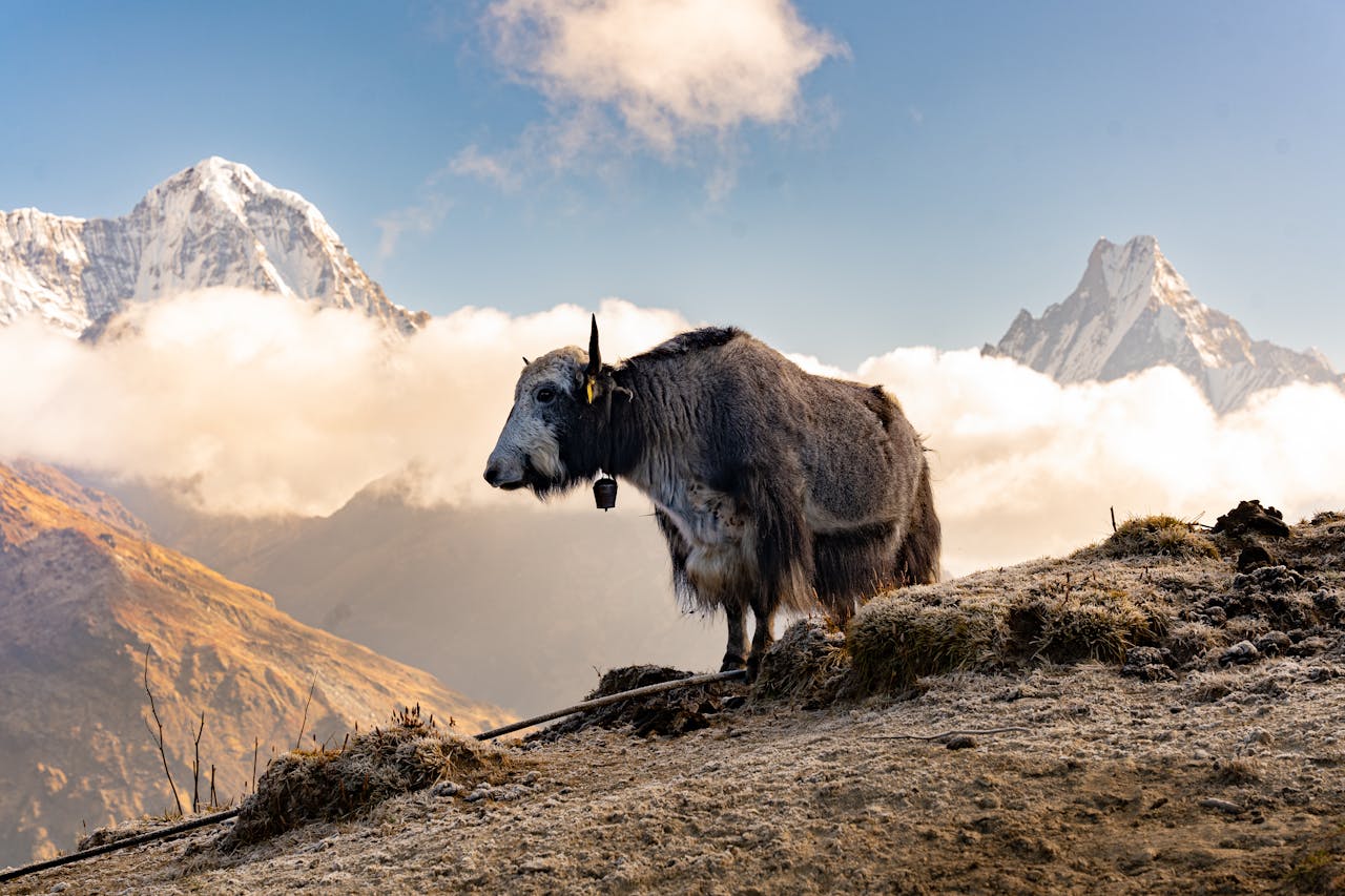 Paisaje Pokhara