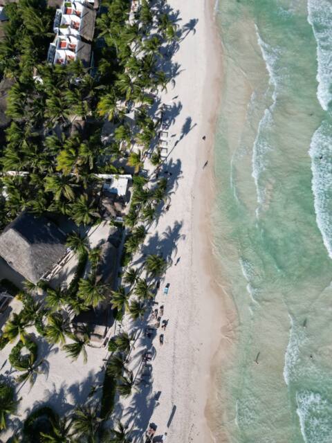 Beautiful aerial view of Tulum's palm-lined beach and turquoise sea in Mexico's Riviera Maya.