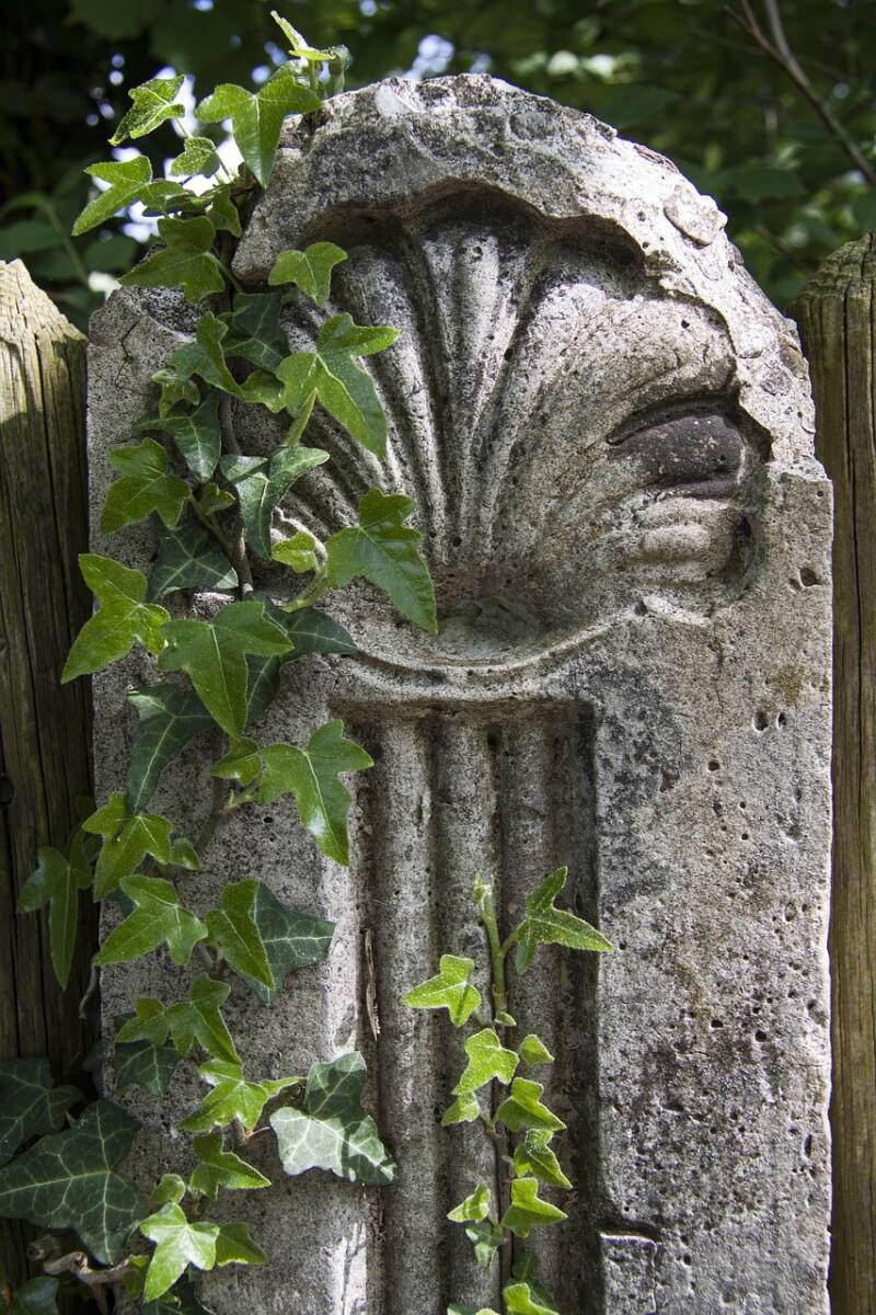 jakobsweg, camino de santiago, pilgrimage, character, symbol, shell, post, fence, ivy, tendrils